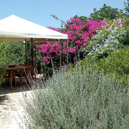 Holiday home Aegina's Oasis *